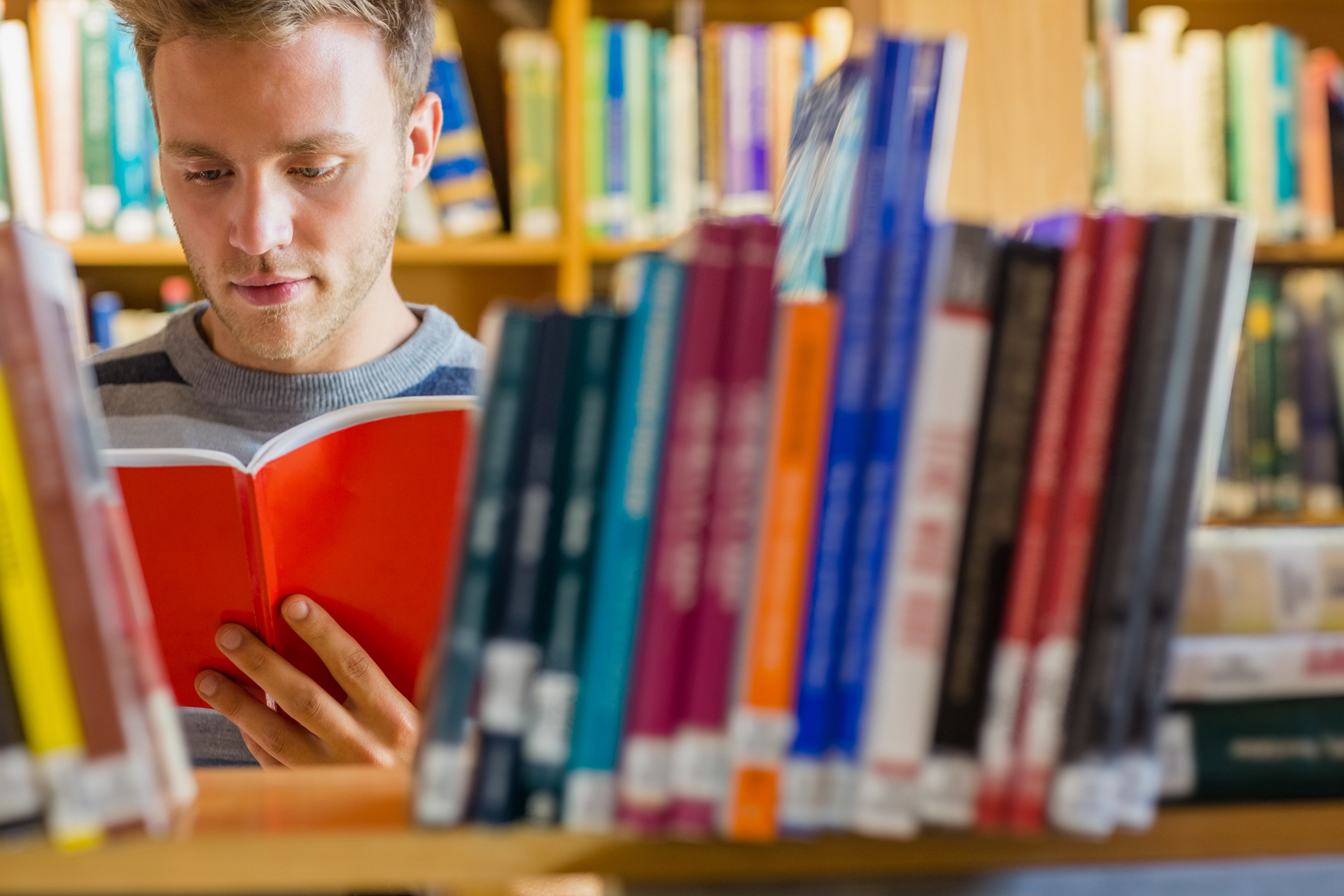 College student reading book